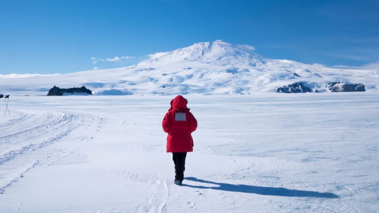The Ultimate Survival Guide: Can You Pee Outside in Antarctica?