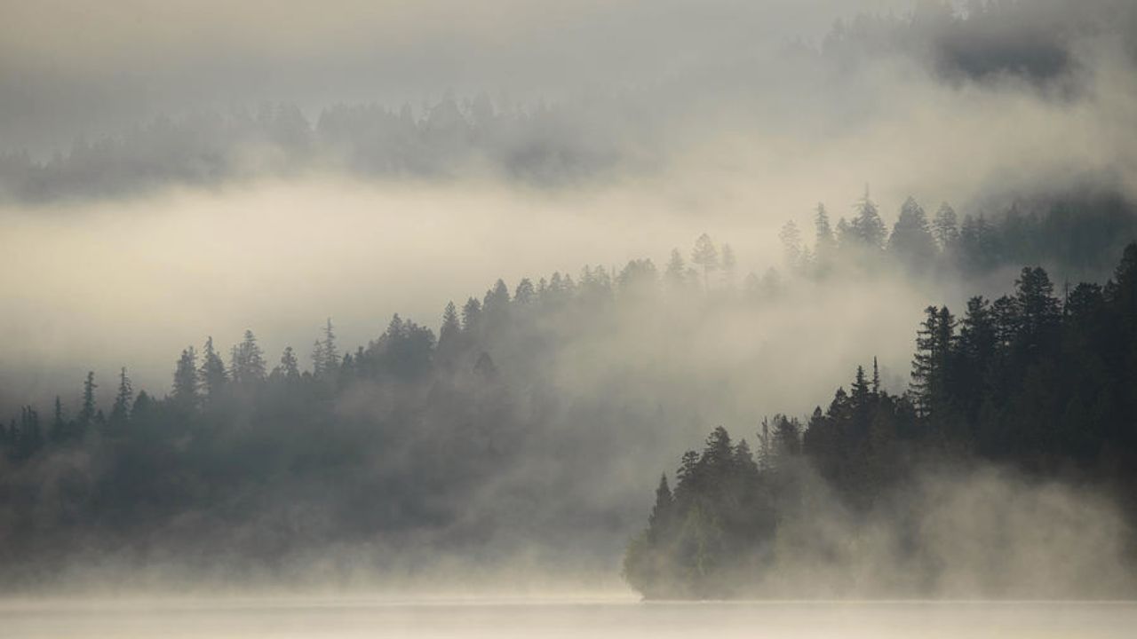 When Does Fog Usually Form in Inlets and Bays? Facts Here!