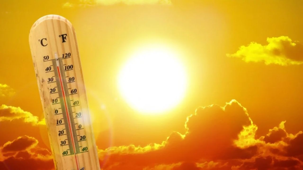 What Is the Highest Temperature a Human Can Survive Outside? creamytowel.com