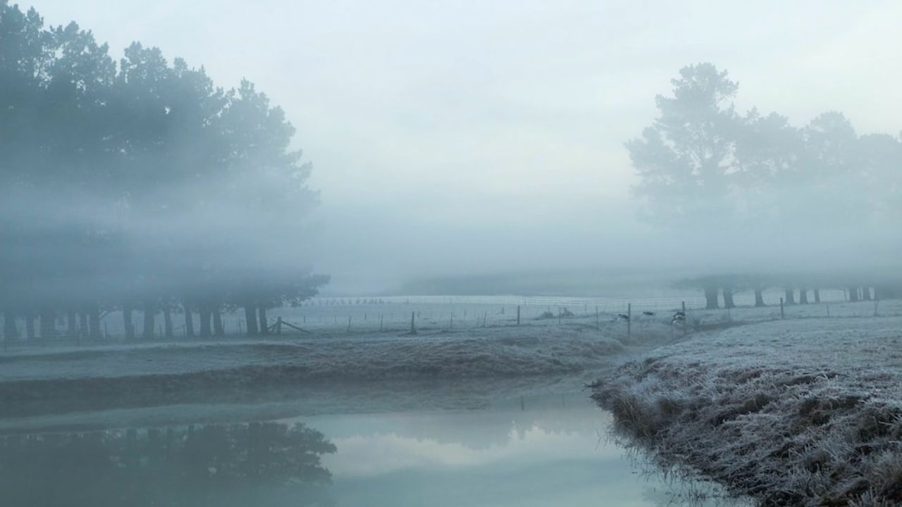 Temperature disparity gives birth to fog's mystifying embrace. creamytowel.com